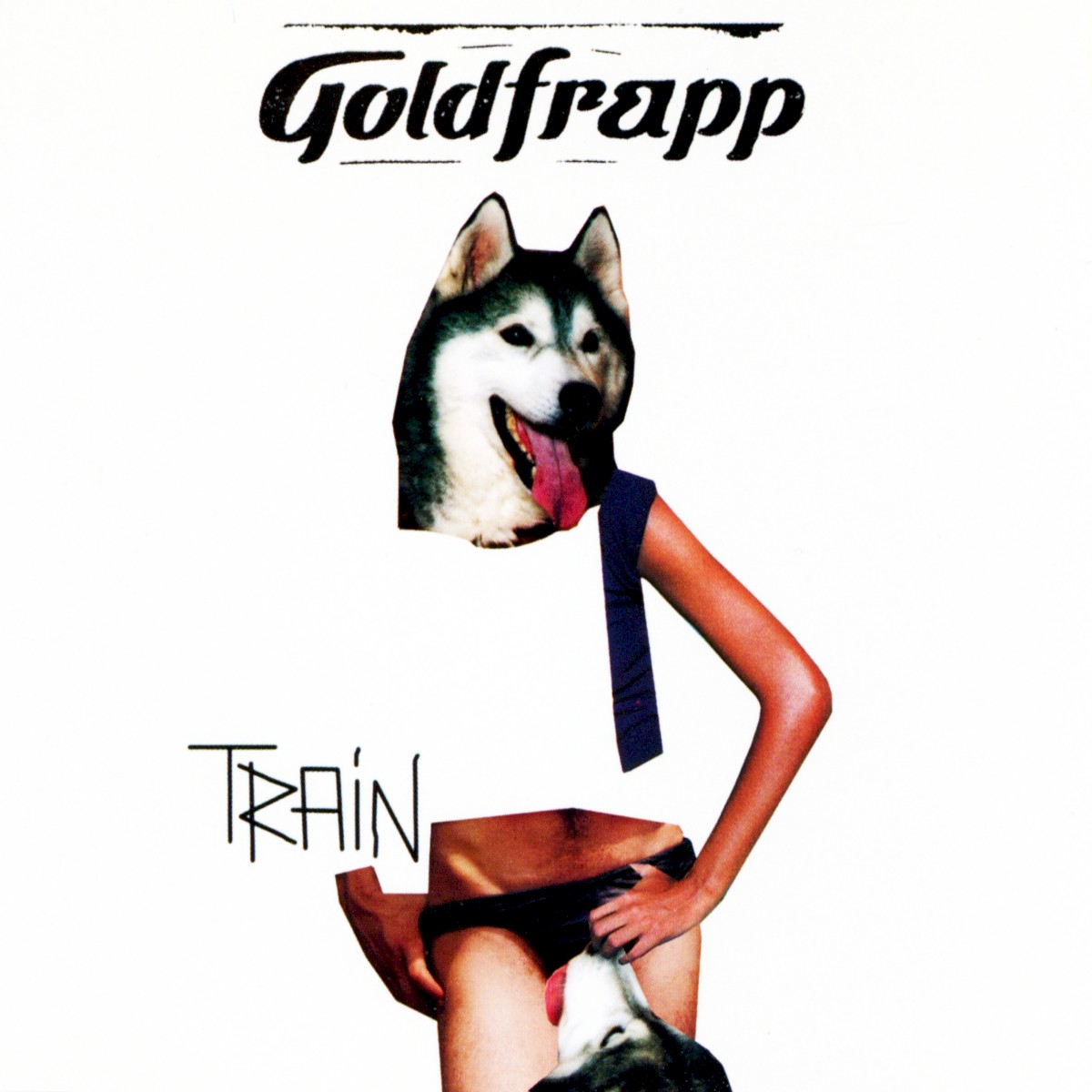 Train cover