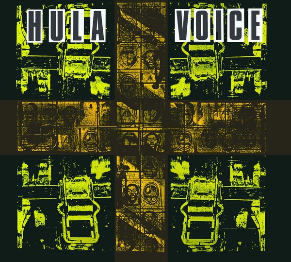Voice cover