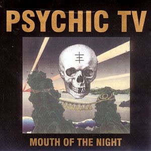 Mouth Of The Night cover