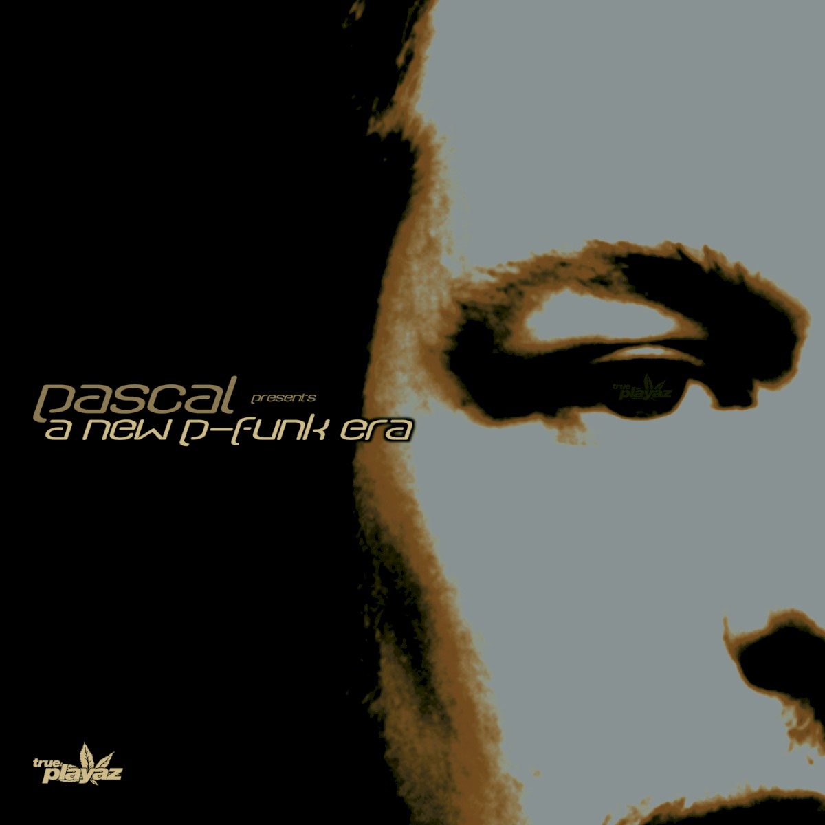 A New P-Funk Era Mixed cover