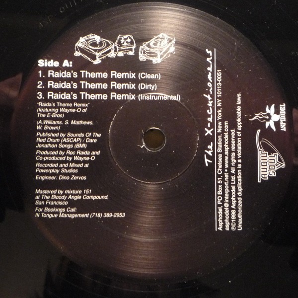 Raida's Theme (Remix) cover