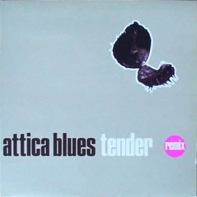 Tender Remix cover