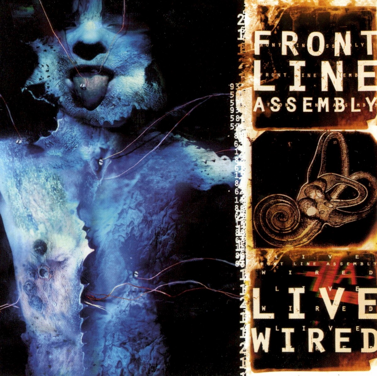 Live Wired cover