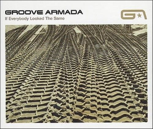 If Everybody Looked The Same cover