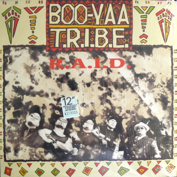 R.A.I.D. cover