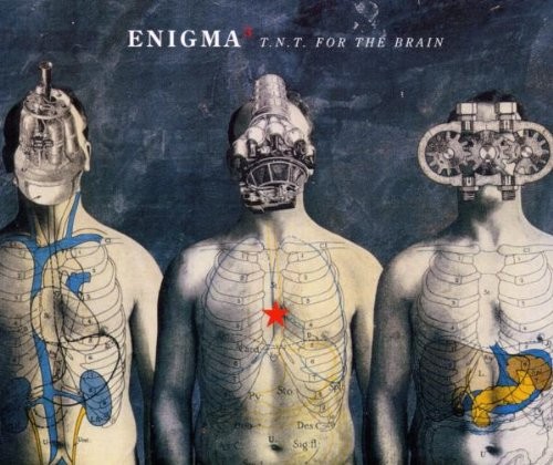 T.N.T. For The Brain cover