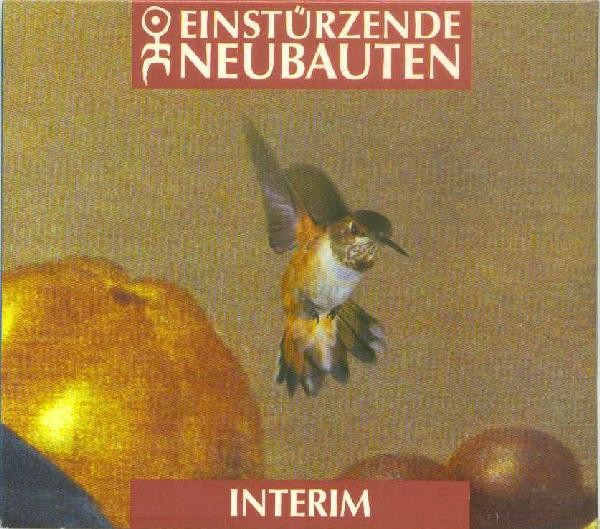 Interim cover