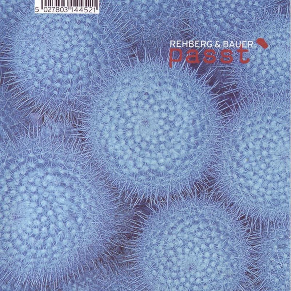 Passt cover