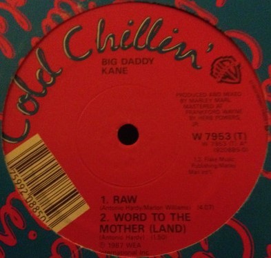 Raw / Word To The Mother (Land) cover
