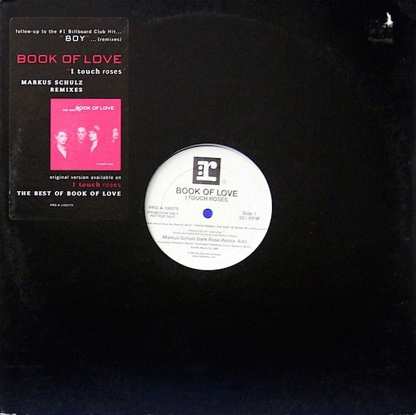 I Touch Roses (Markus Schulz Remixes) cover