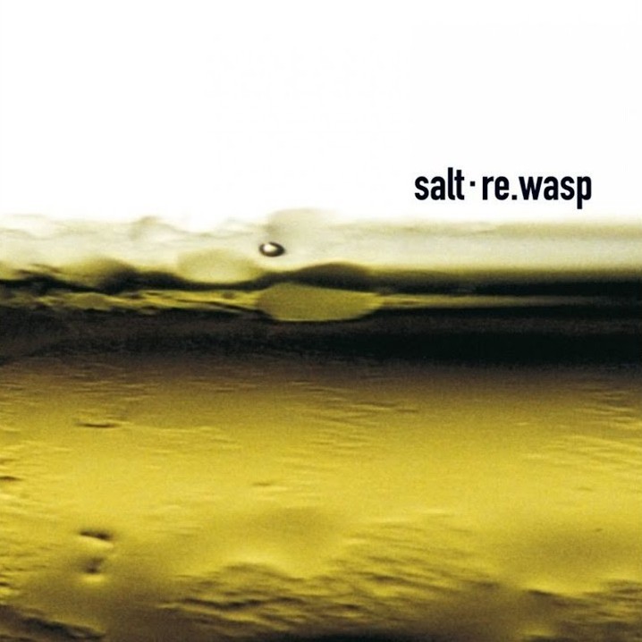 Re.wasp cover