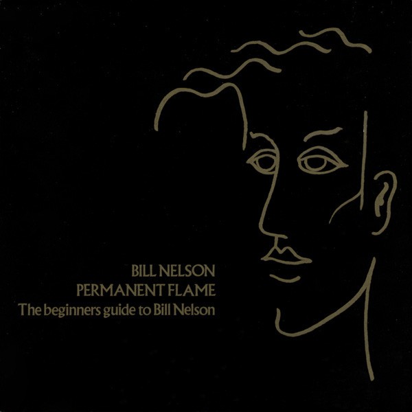 Permanent Flame (The Beginners Guide To Bill Nelson) cover