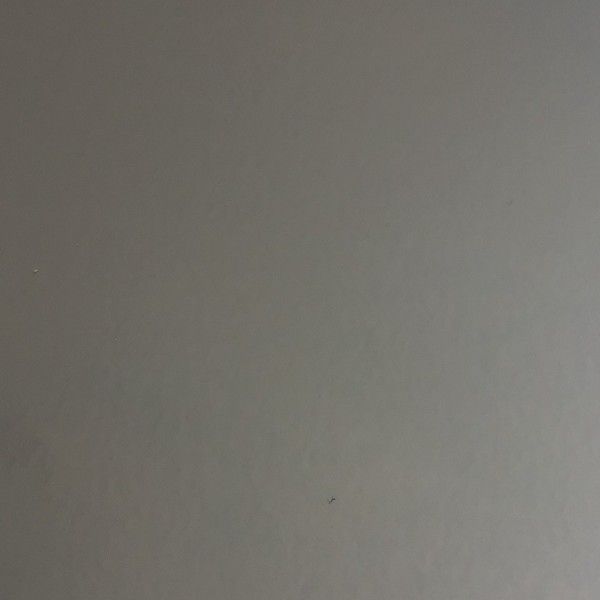 Every Dog Has Its Day Vol. 2 cover