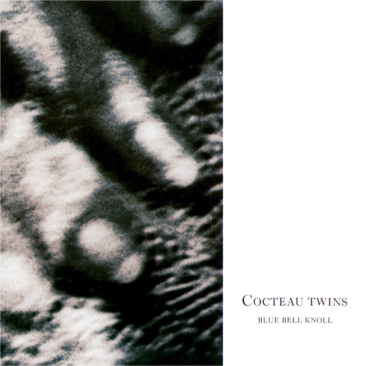 Blue Bell Knoll cover