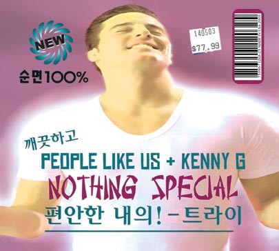 Nothing Special cover
