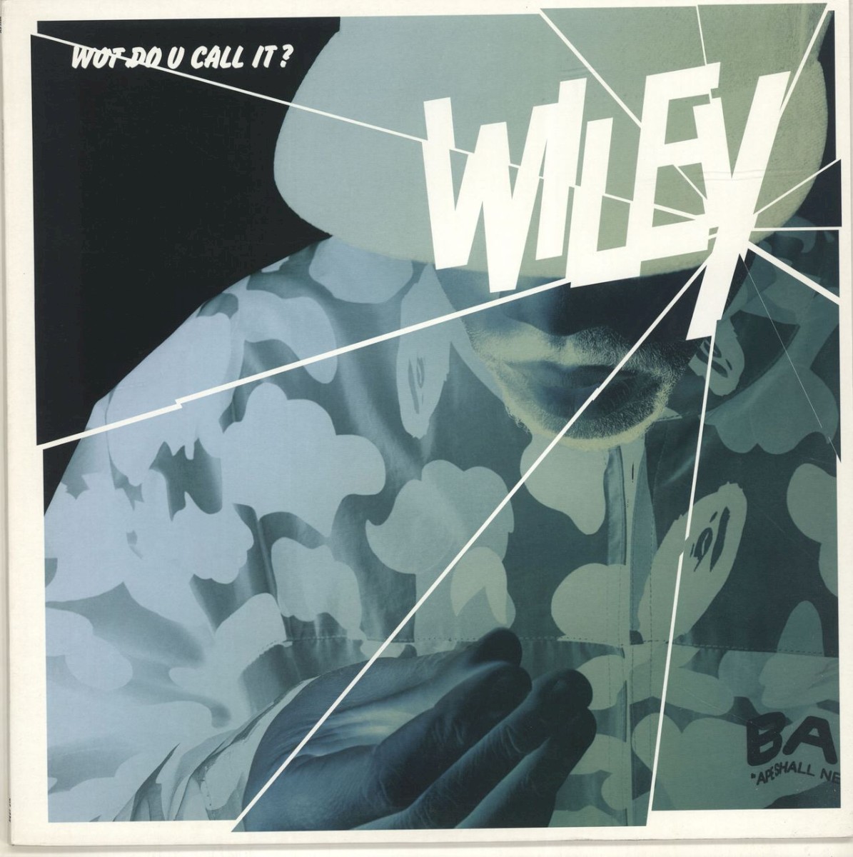 Wot Do U Call It ? cover