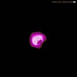 Square cover
