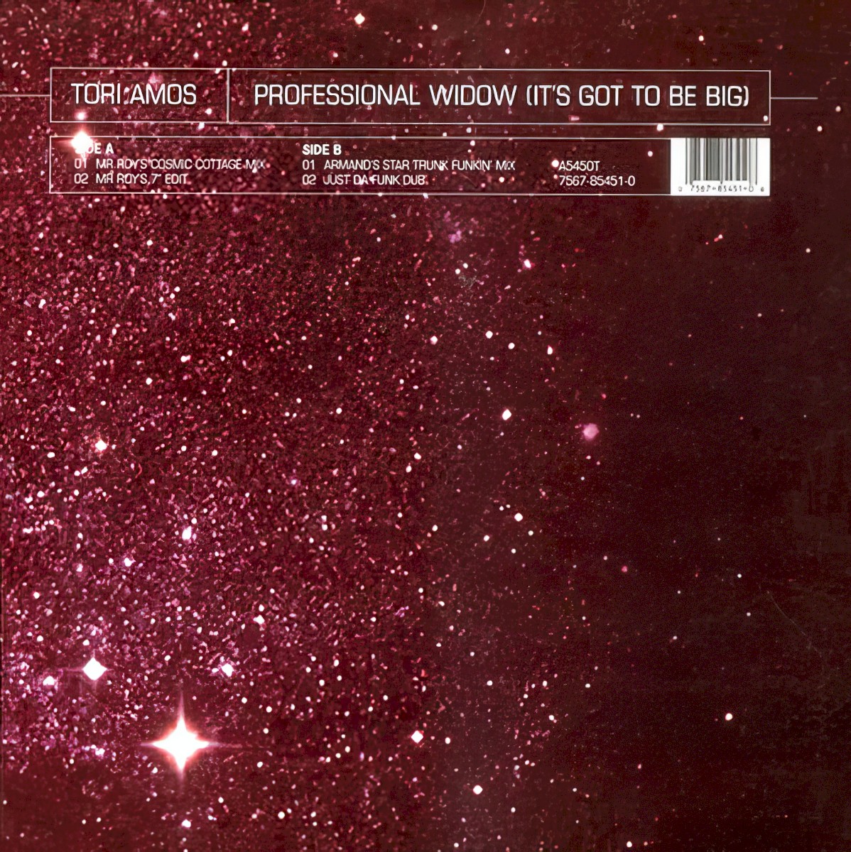 Professional Widow (It's Got To Be Big) cover