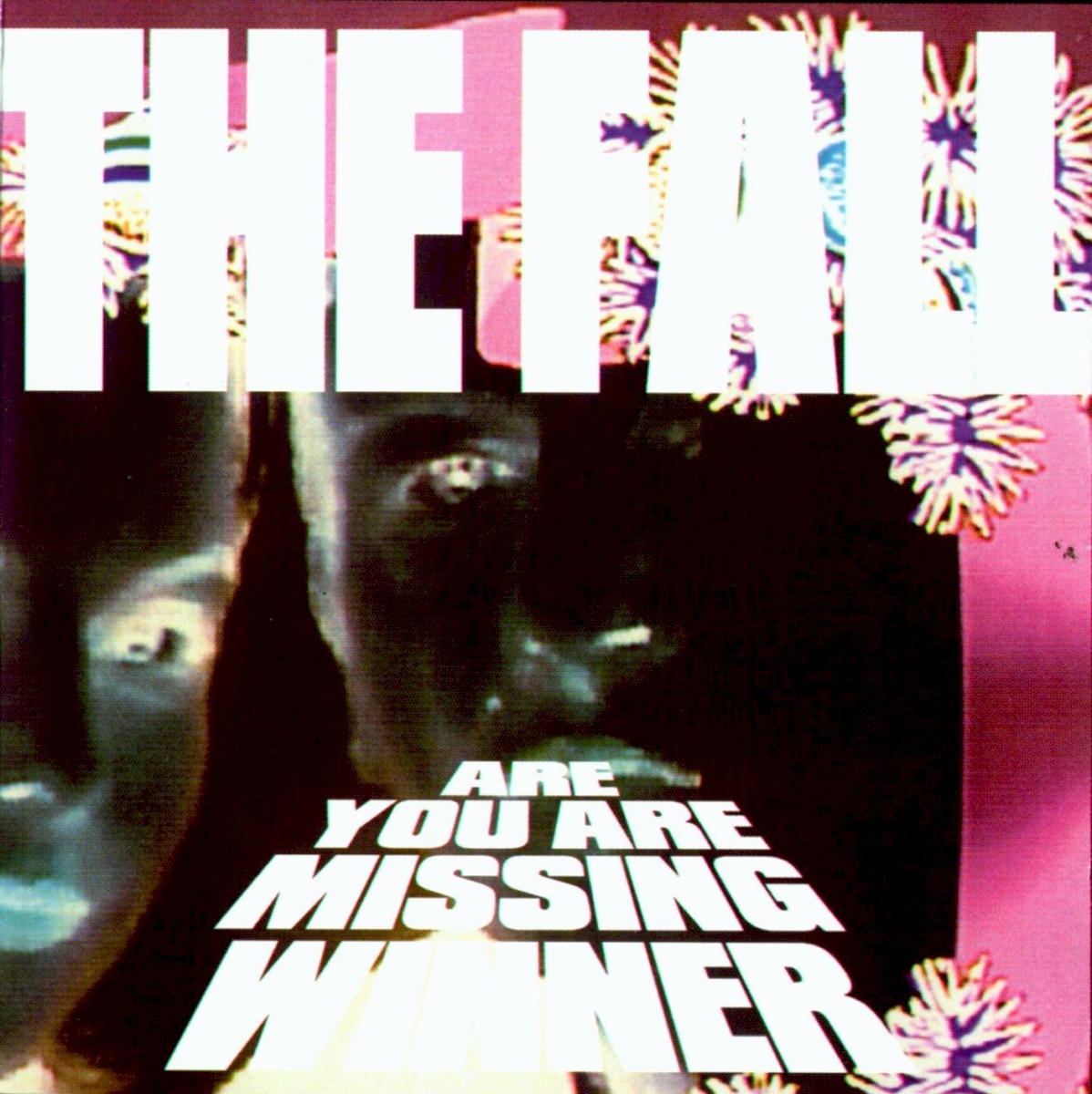 Are You Are Missing Winner cover