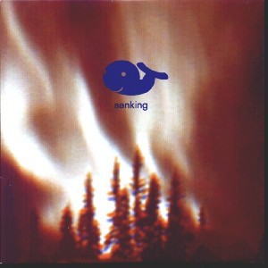 Senking cover