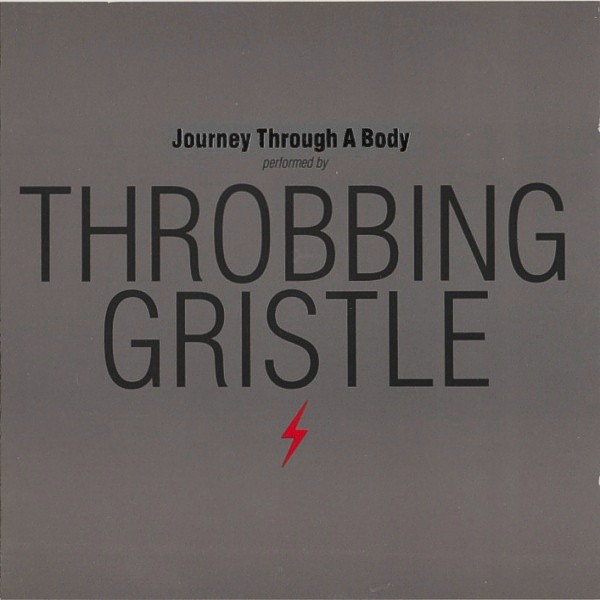 Journey Through A Body cover