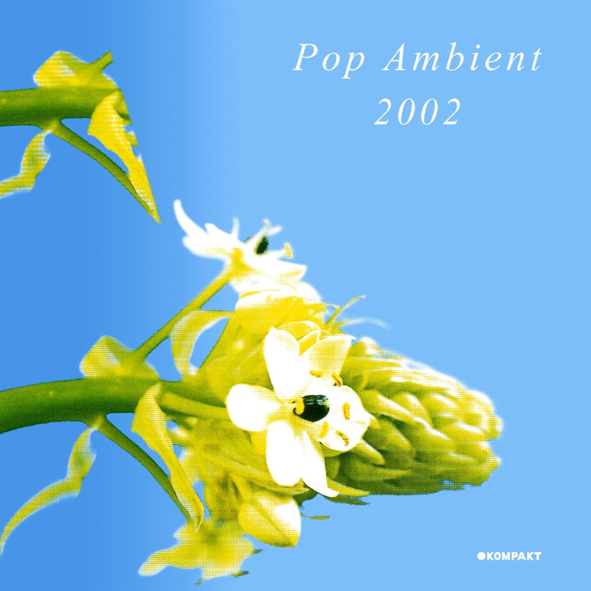 Pop Ambient 2002 cover