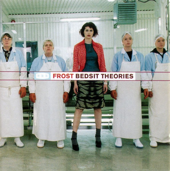 Bedsit Theories cover