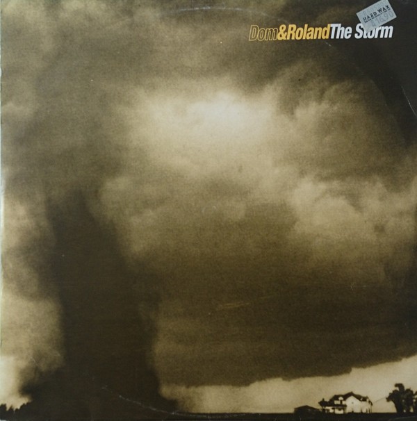 The Storm cover