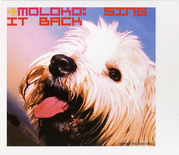 Sing It Back cover