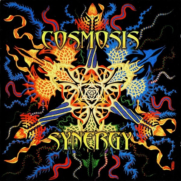 Synergy cover