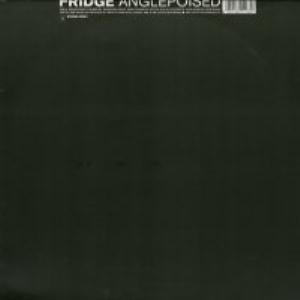 Anglepoised cover