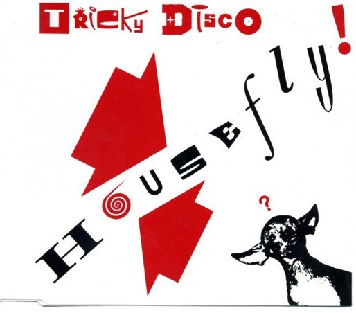 House Fly cover