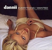 Everything I Wanted cover