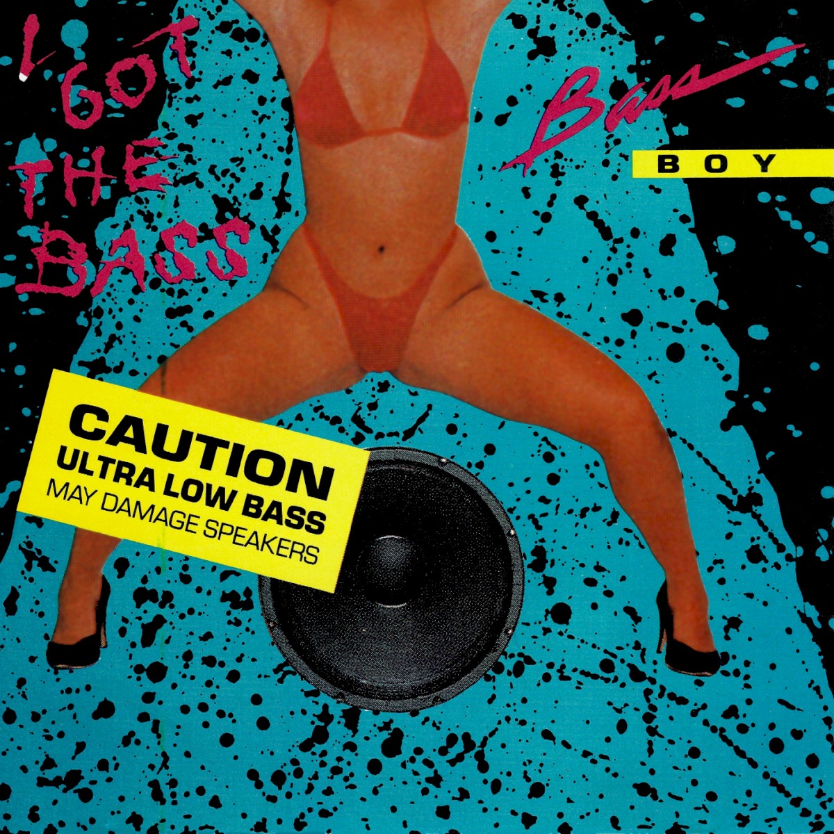 I Got The Bass cover
