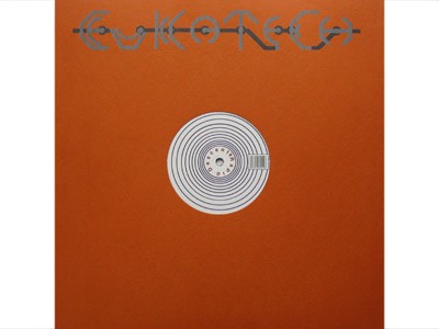 Rapid Descent cover