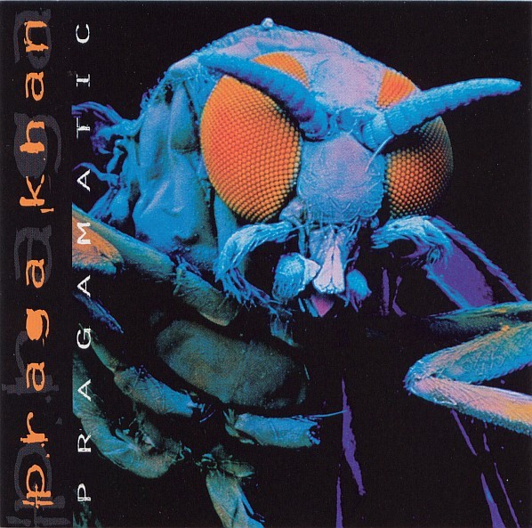 Pragamatic cover