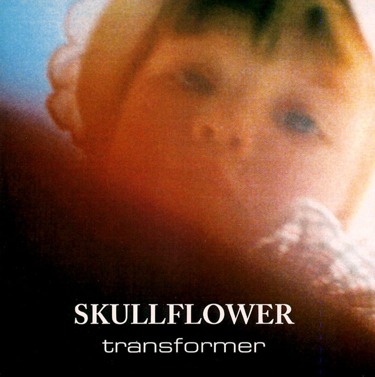 Transformer cover