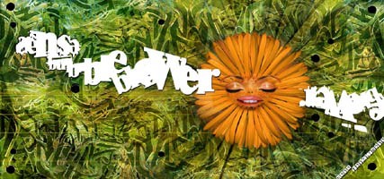 Bubble Blower cover