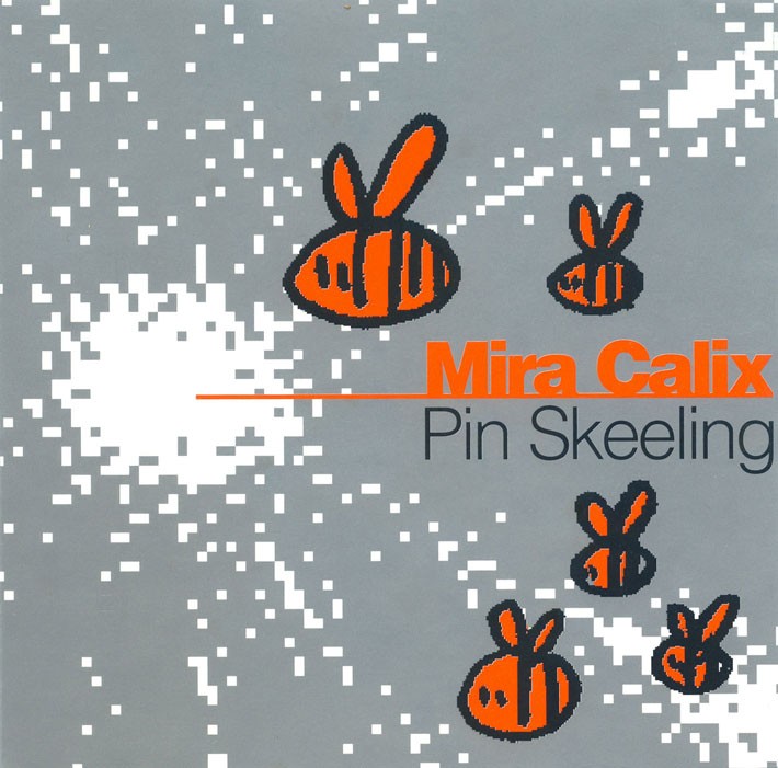Pin Skeeling cover