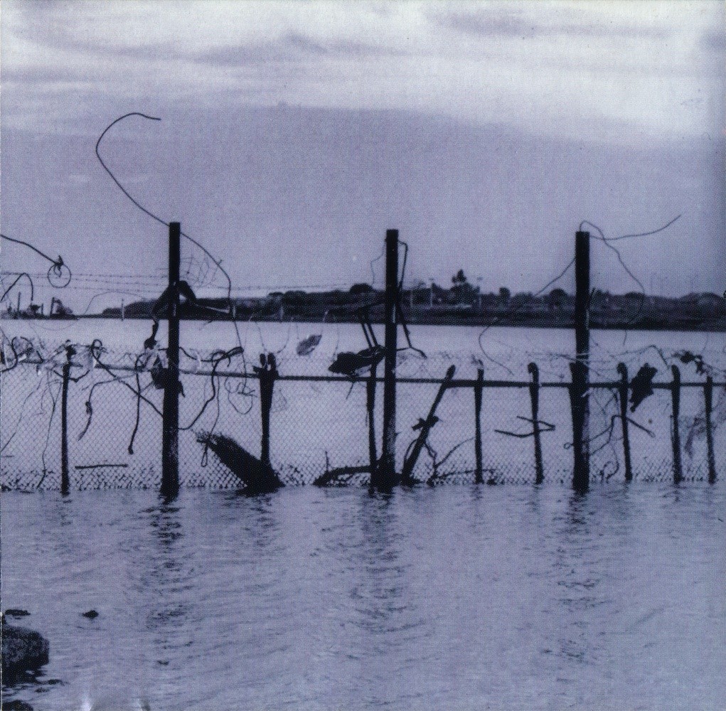 Asphodelic cover