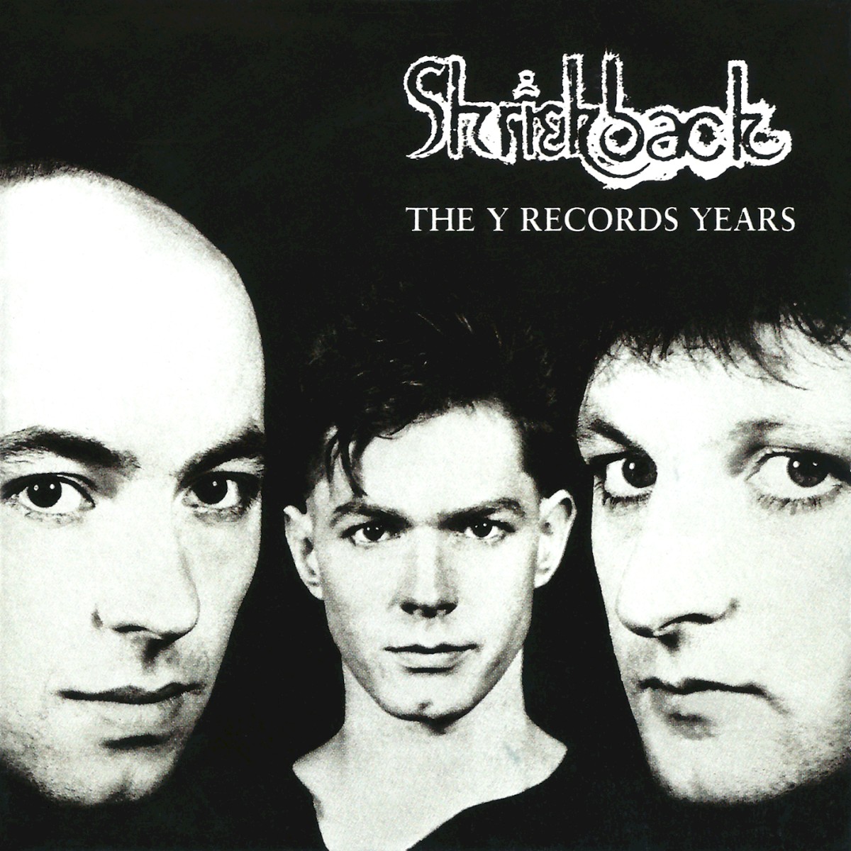 The Y Records Years cover