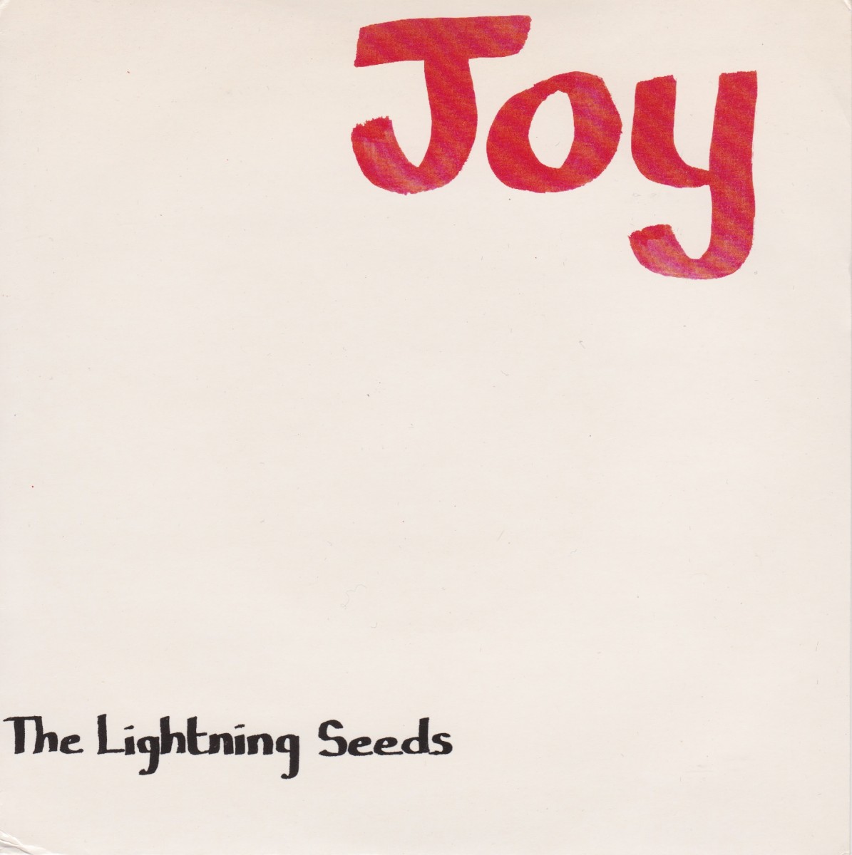 Joy cover