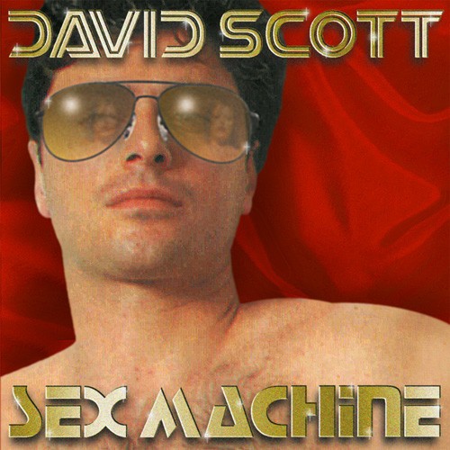 Sex Machine cover