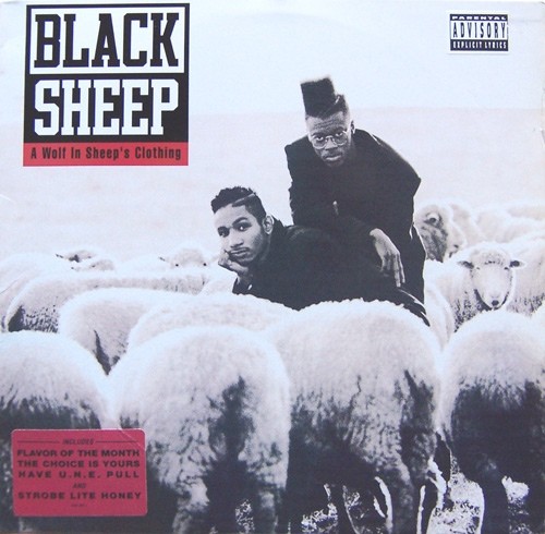 A Wolf In Sheep's Clothing cover