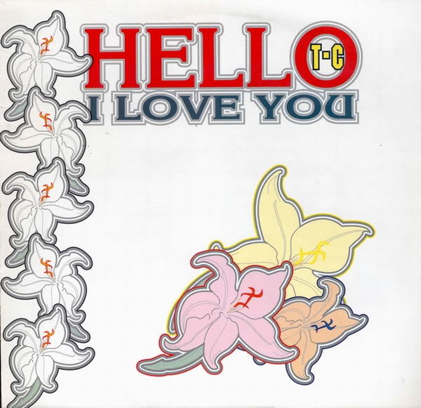Hello I Love You cover