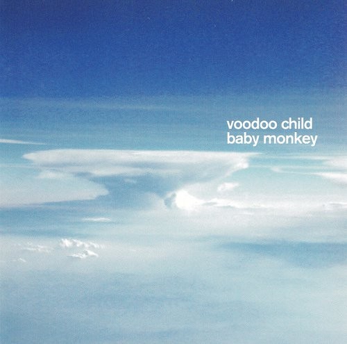 Baby Monkey cover