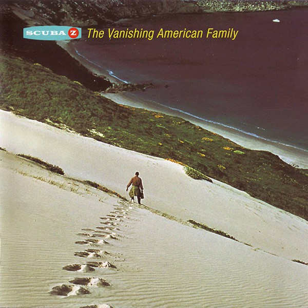 The Vanishing American Family cover