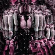 Infusorium cover
