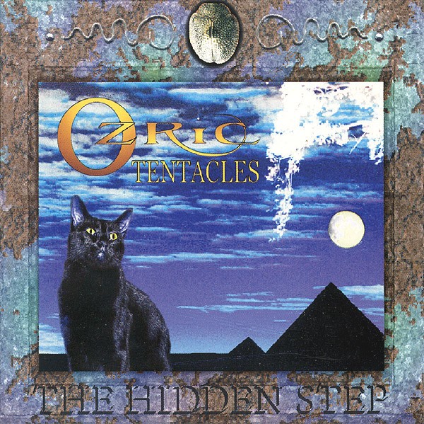 The Hidden Step cover