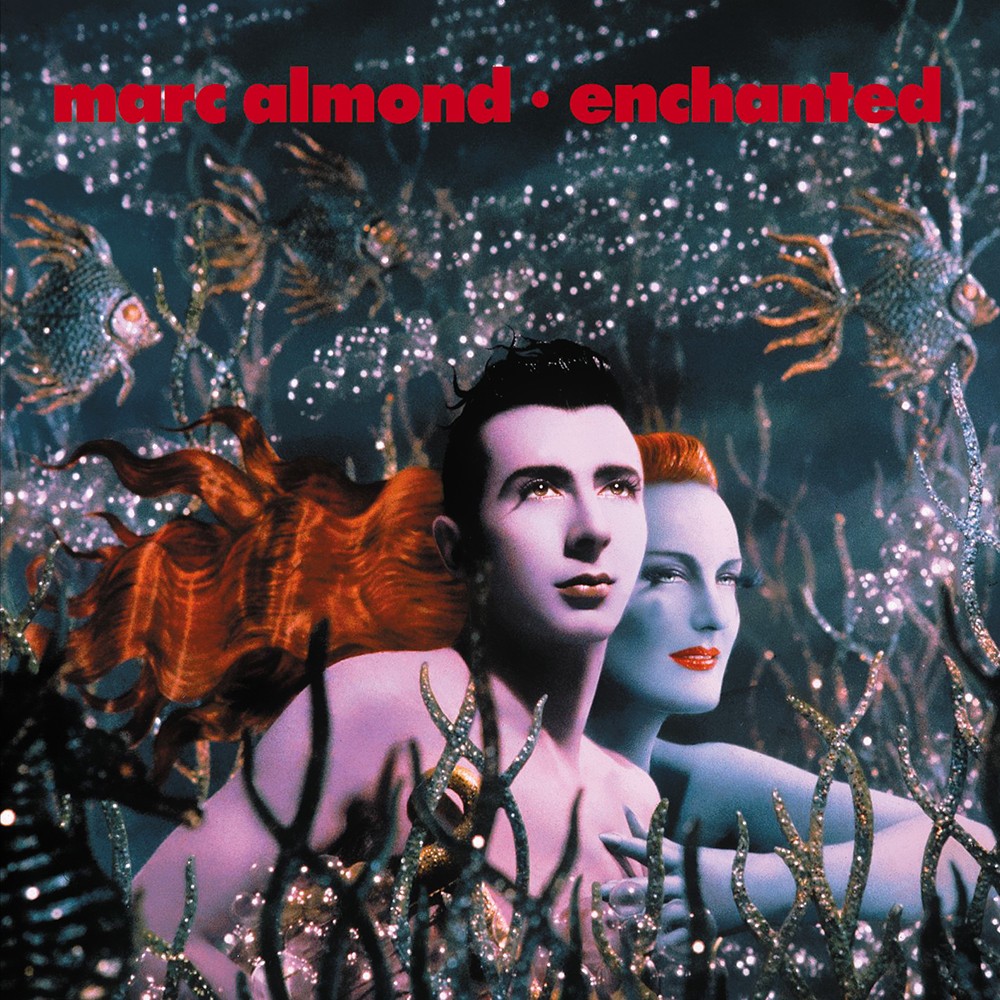 Enchanted cover